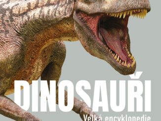 Dinosauri