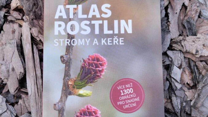 Atlas rostlin: stromy a keře, foto redakce