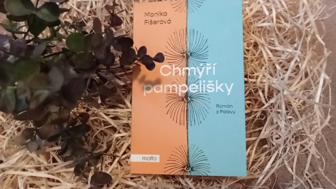 Chmýří pampelišky